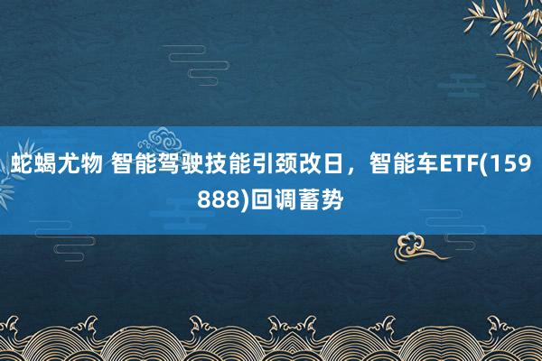 蛇蝎尤物 智能驾驶技能引颈改日，智能车ETF(159888)回调蓄势