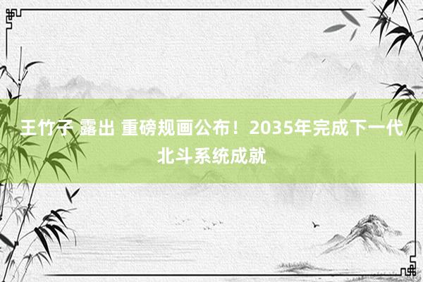 王竹子 露出 重磅规画公布！2035年完成下一代北斗系统成就