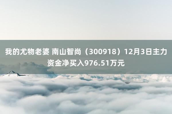 我的尤物老婆 南山智尚（300918）12月3日主力资金净买入976.51万元