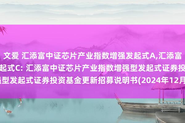 文爱 汇添富中证芯片产业指数增强发起式A,汇添富中证芯片产业指数增强发起式C: 汇添富中证芯片产业指数增强型发起式证券投资基金更新招募说明书(2024年12月19日更新)