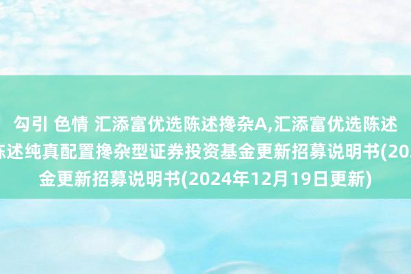 勾引 色情 汇添富优选陈述搀杂A,汇添富优选陈述搀杂C: 汇添富优选陈述纯真配置搀杂型证券投资基金更新招募说明书(2024年12月19日更新)