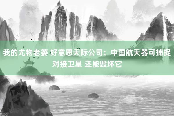我的尤物老婆 好意思天际公司：中国航天器可捕捉对接卫星 还能毁坏它
