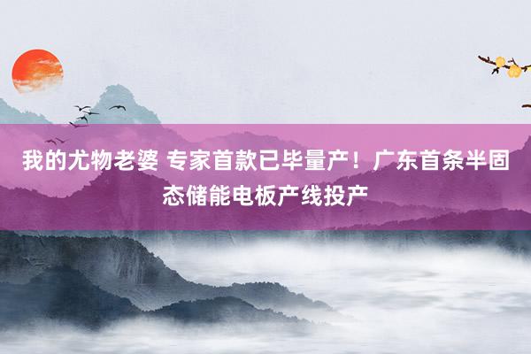 我的尤物老婆 专家首款已毕量产！广东首条半固态储能电板产线投产