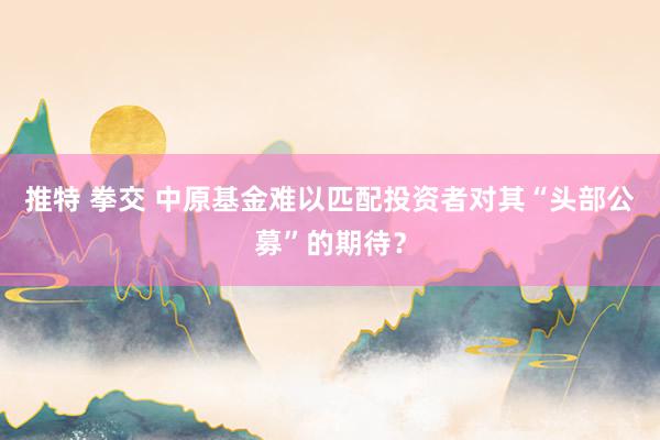 推特 拳交 中原基金难以匹配投资者对其“头部公募”的期待？
