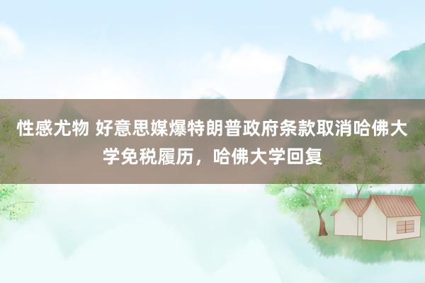 性感尤物 好意思媒爆特朗普政府条款取消哈佛大学免税履历，哈佛大学回复