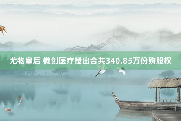 尤物皇后 微创医疗授出合共340.85万份购股权