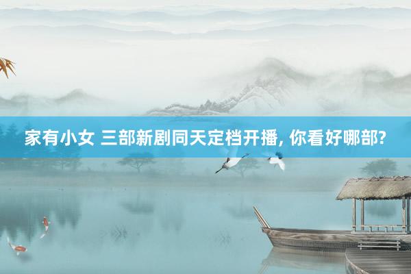 家有小女 三部新剧同天定档开播， 你看好哪部?