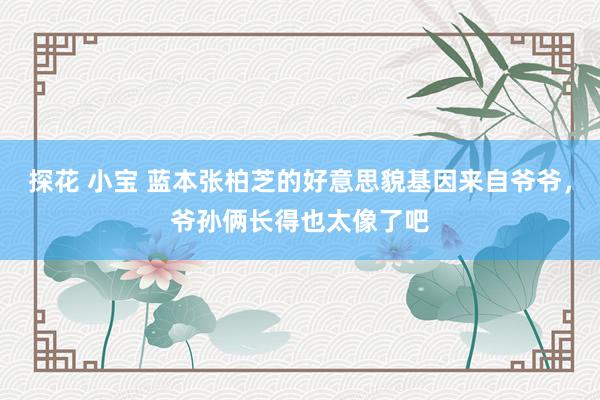 探花 小宝 蓝本张柏芝的好意思貌基因来自爷爷，爷孙俩长得也太像了吧